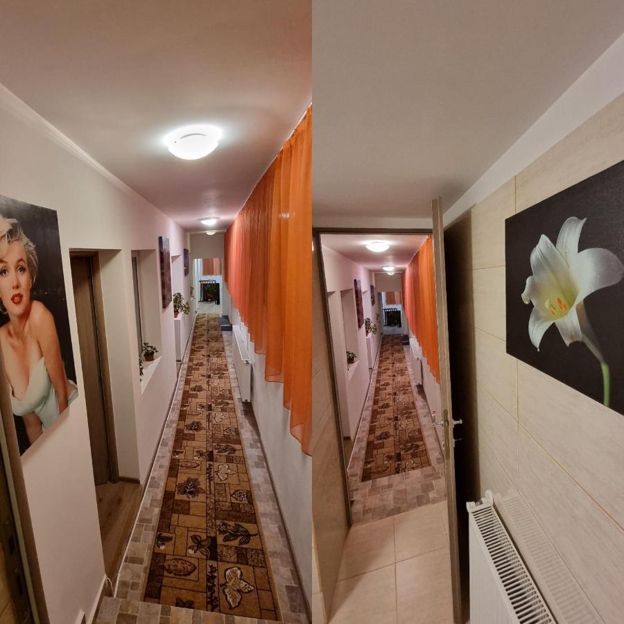 Roca House Villa Braşov Eksteriør billede