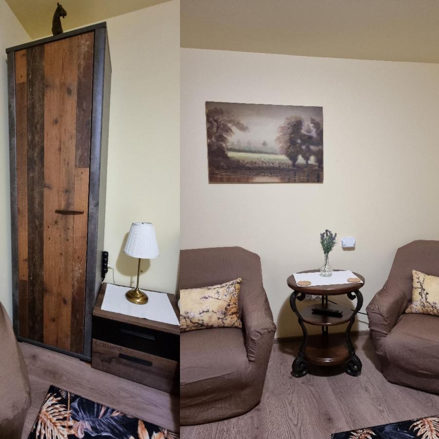 Roca House Villa Braşov Eksteriør billede