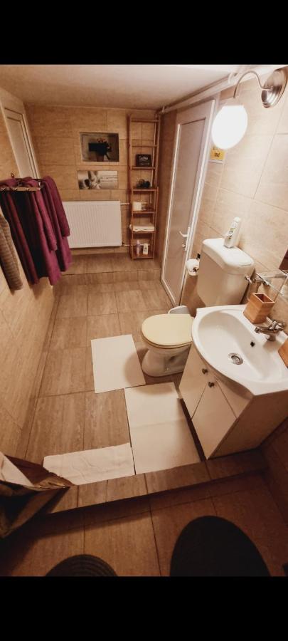 Roca House Villa Braşov Eksteriør billede
