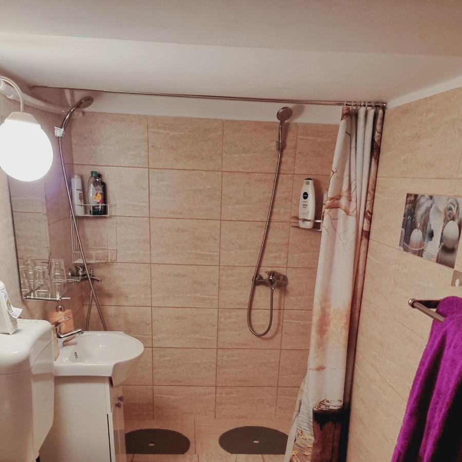 Roca House Villa Braşov Eksteriør billede