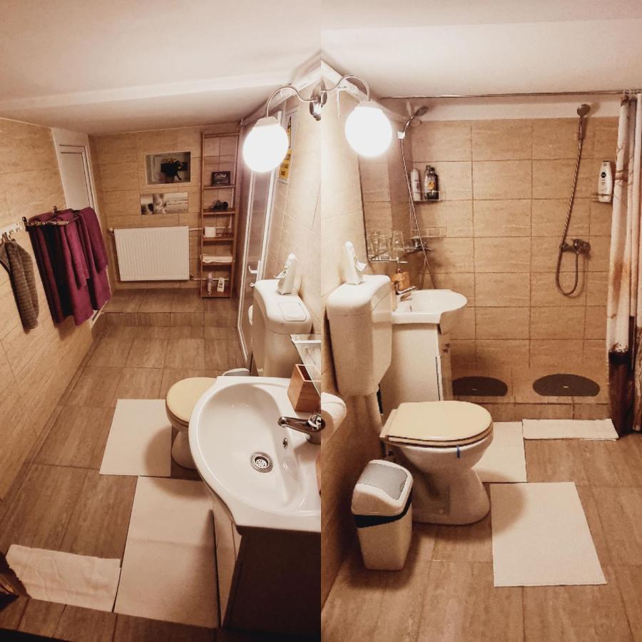 Roca House Villa Braşov Eksteriør billede