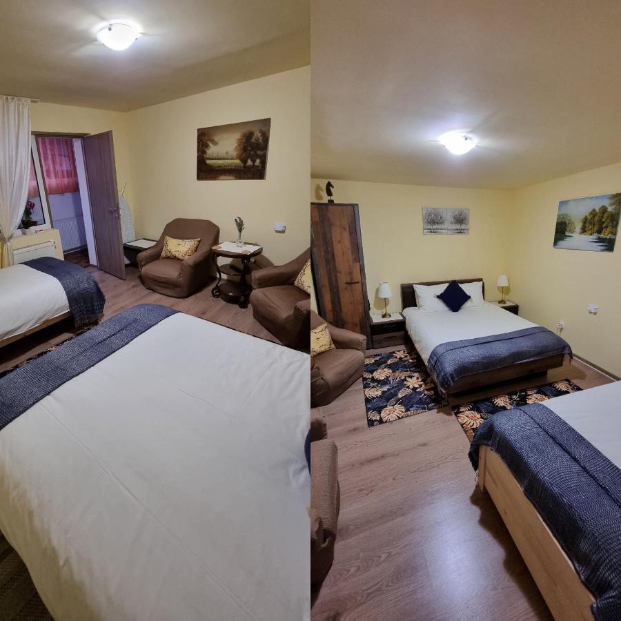 Roca House Villa Braşov Eksteriør billede