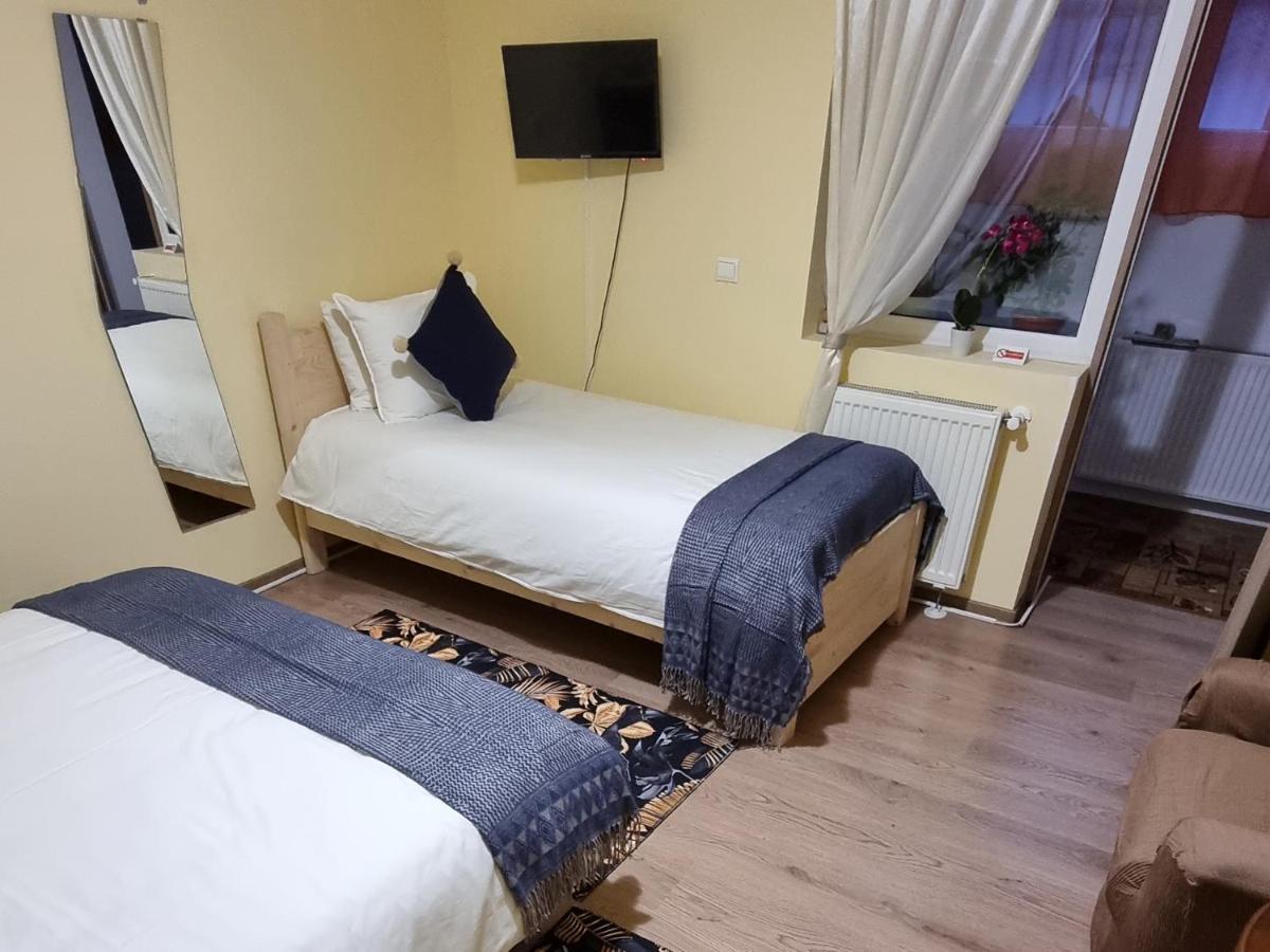 Roca House Villa Braşov Eksteriør billede