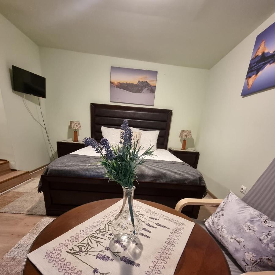 Roca House Villa Braşov Eksteriør billede