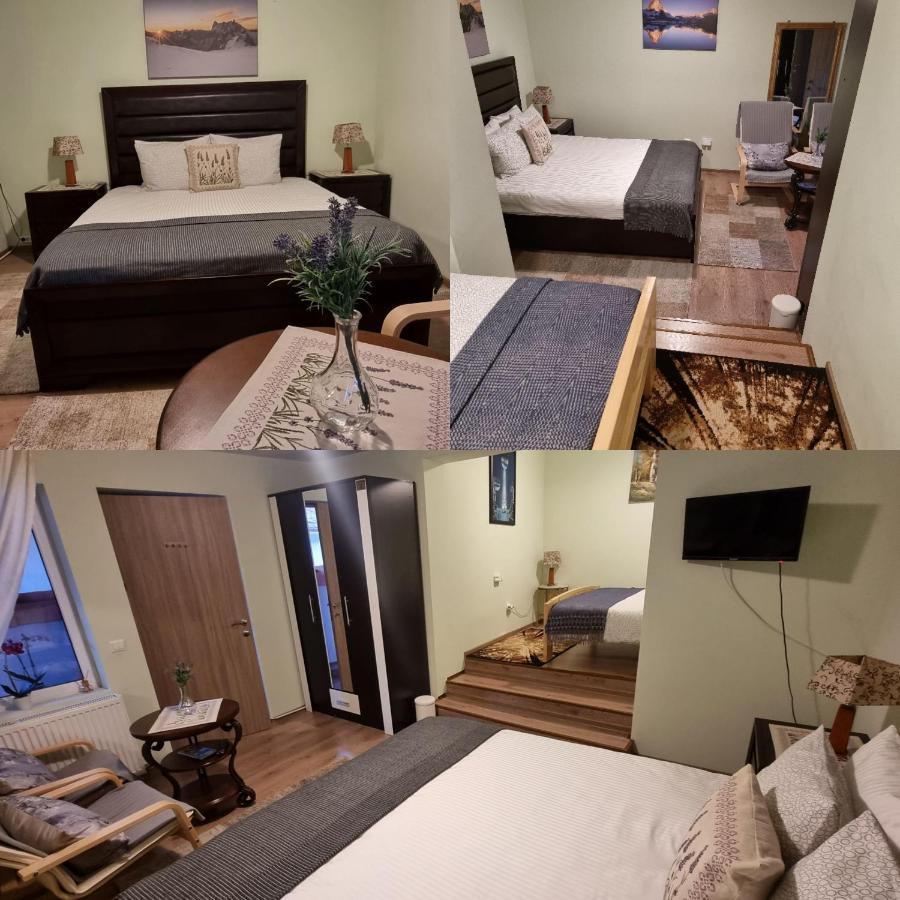 Roca House Villa Braşov Eksteriør billede