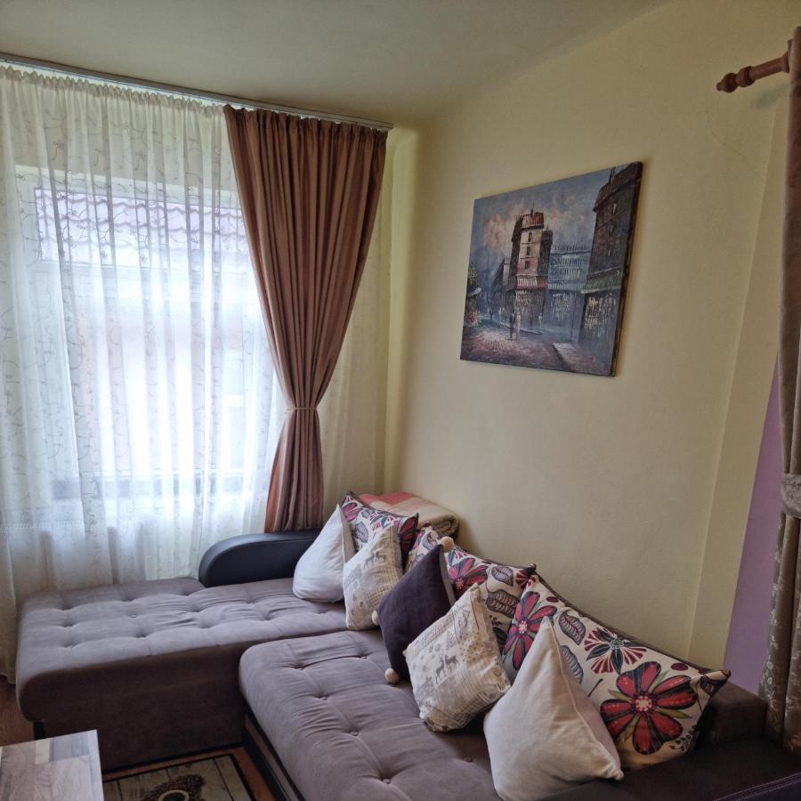 Roca House Villa Braşov Eksteriør billede