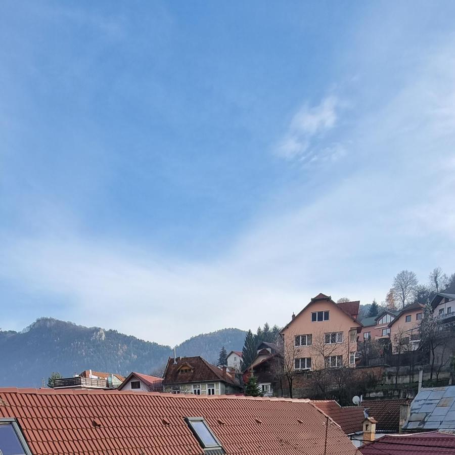 Roca House Villa Braşov Eksteriør billede