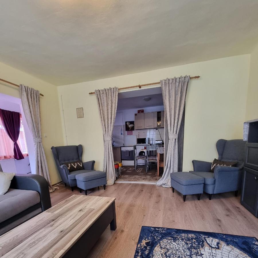 Roca House Villa Braşov Eksteriør billede