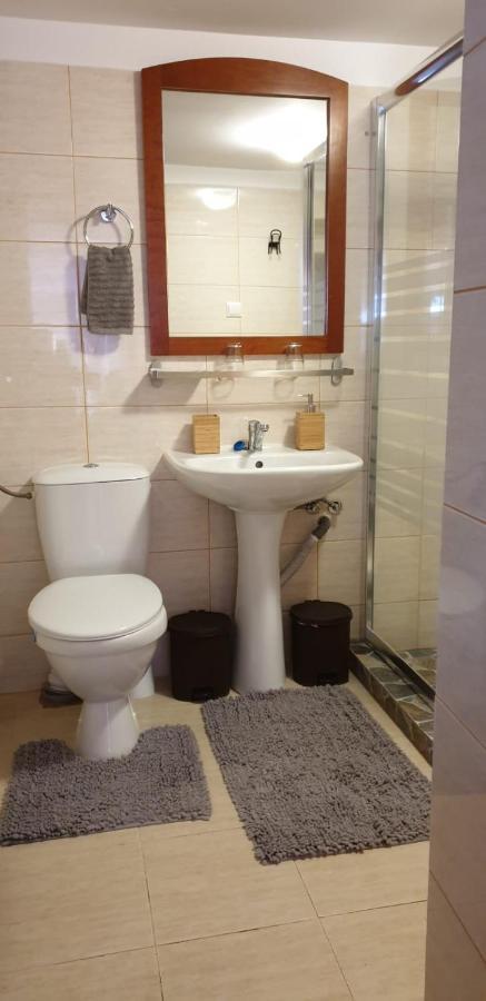 Roca House Villa Braşov Eksteriør billede